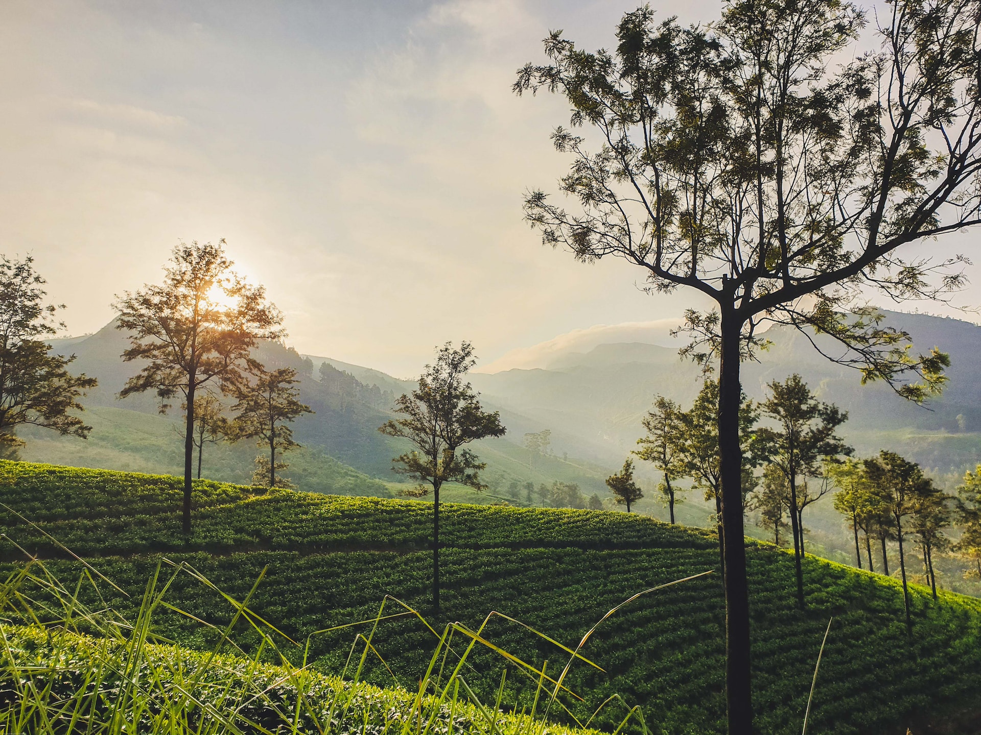 Exploring Enchanting Sri Lanka: Uncover Hidden Treasures with Tours in 