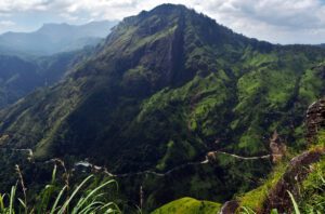 Exploring the Wonders of Family Holidays in Sri Lanka